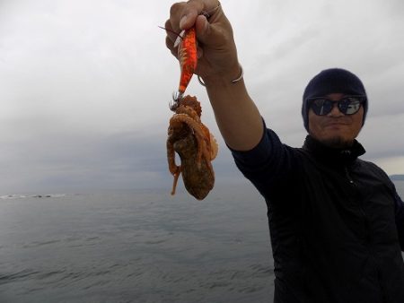 フィッシングボート空風（そらかぜ） 釣果