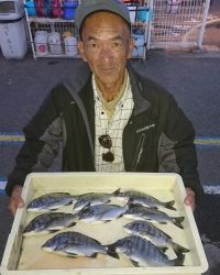 和歌山マリーナシティ釣り公園 釣果