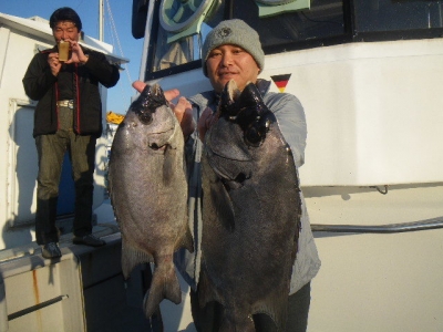 磯部釣船 直栄丸 釣果