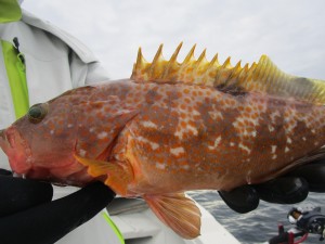 兼六丸 釣果