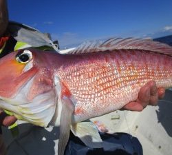 兼六丸 釣果