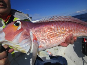 兼六丸 釣果