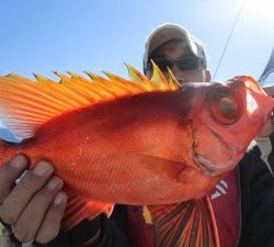 兼六丸 釣果