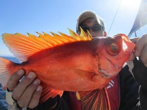 兼六丸 釣果