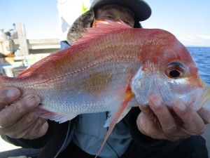 兼六丸 釣果