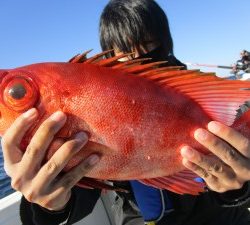 兼六丸 釣果