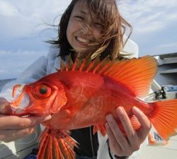 兼六丸 釣果