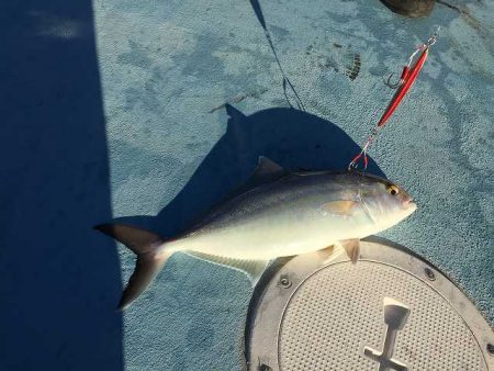 三吉丸 釣果