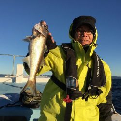 三吉丸 釣果