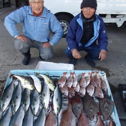 久六釣船 釣果