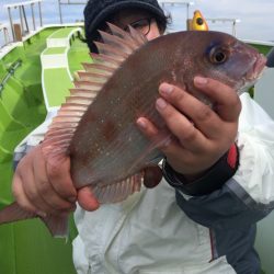 松栄丸 釣果