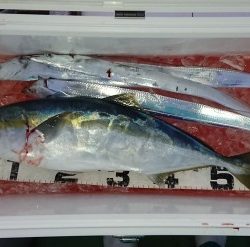 火遠理丸（ほおりまる） 釣果