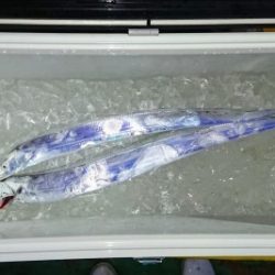 火遠理丸（ほおりまる） 釣果