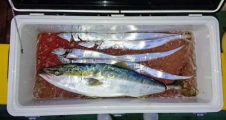 火遠理丸（ほおりまる） 釣果