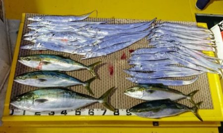 火遠理丸（ほおりまる） 釣果