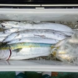 火遠理丸（ほおりまる） 釣果