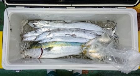 火遠理丸（ほおりまる） 釣果