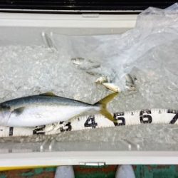 火遠理丸（ほおりまる） 釣果