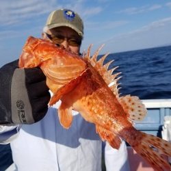 しまや丸 釣果