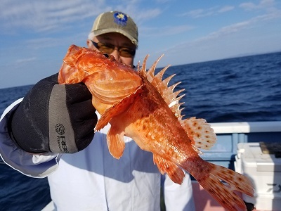 しまや丸 釣果