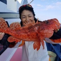 しまや丸 釣果