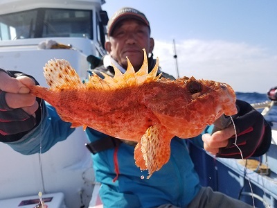 しまや丸 釣果