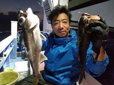 しまや丸 釣果