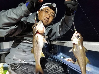 しまや丸 釣果