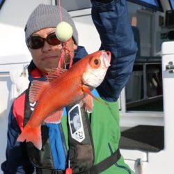 へいみつ丸 釣果