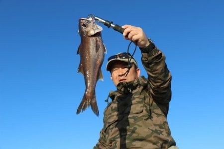 へいみつ丸 釣果