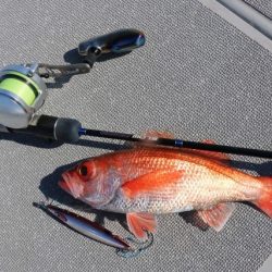 へいみつ丸 釣果