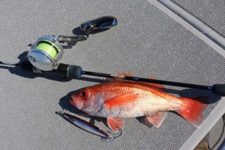 へいみつ丸 釣果