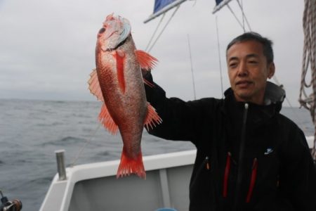 へいみつ丸 釣果