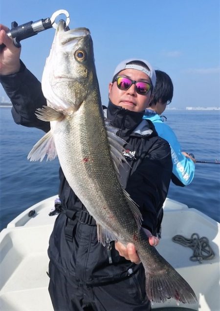 めだか屋 釣果