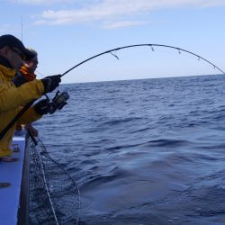 松鶴丸 釣果