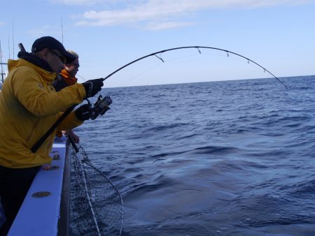 松鶴丸 釣果