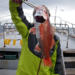 小海途 釣果