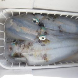 小海途 釣果