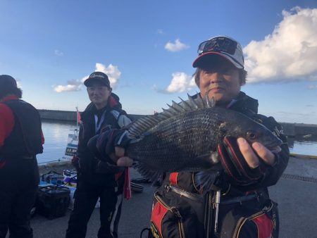 由良渡船 釣果