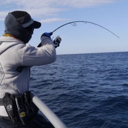 松鶴丸 釣果