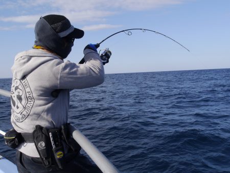 松鶴丸 釣果