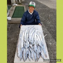 桑田観光 釣果