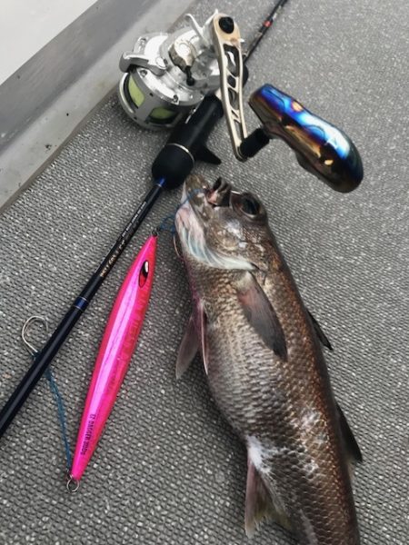 へいみつ丸 釣果