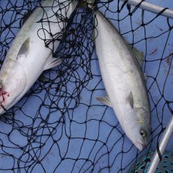 松鶴丸 釣果