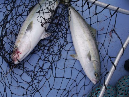 松鶴丸 釣果