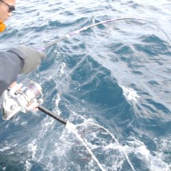 松鶴丸 釣果