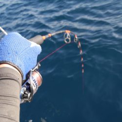 松鶴丸 釣果