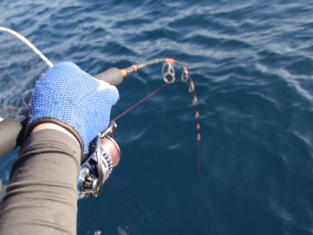 松鶴丸 釣果