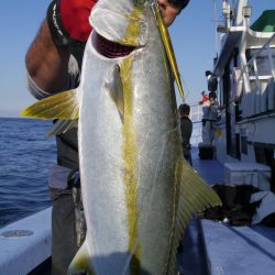 松鶴丸 釣果