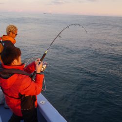 松鶴丸 釣果